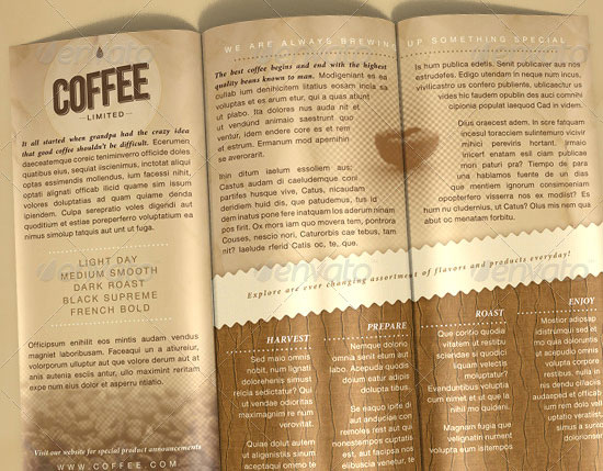 10 Creative Brochure Design to Buy in Minimum Price 3