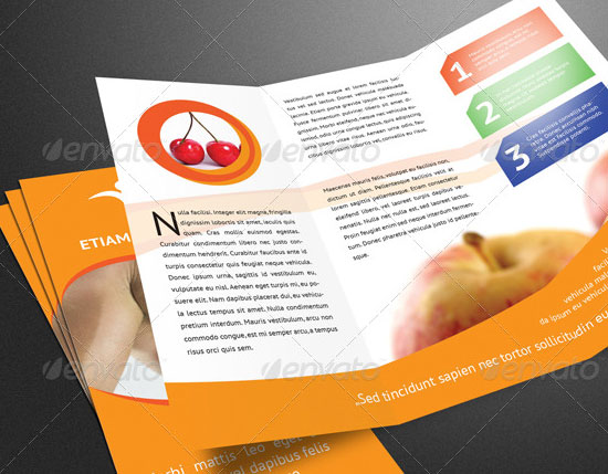 10 Creative Brochure Design to Buy in Minimum Price 5