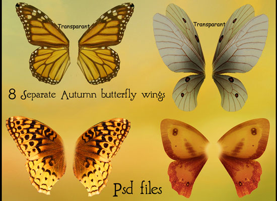20 Most Useful Free PSD Design Element for Web Designers 13