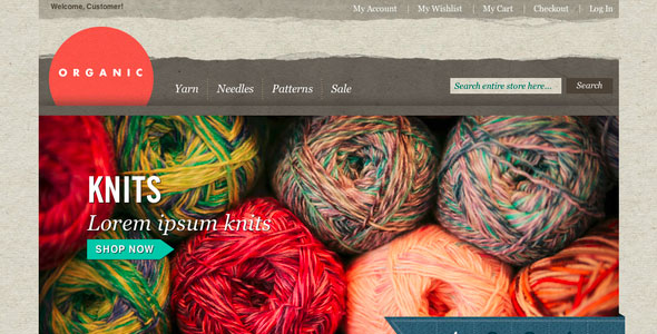 15 Excellent Shopping Cart Themes for Your Online Store 4