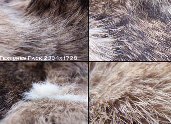 10 Free Animal Fur and Skin Texture Pack 2