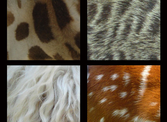 10 Free Animal Fur and Skin Texture Pack 4