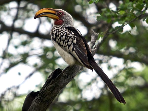 75 Beautiful Birds Photography for Inspiration 10 75 Beautiful Birds Photography for Inspiration 10