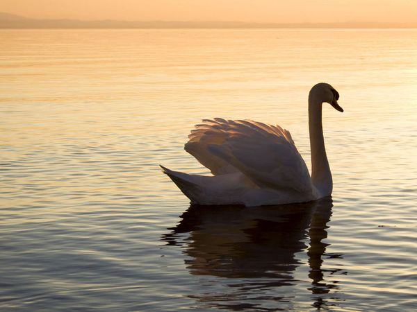 75 Beautiful Birds Photography for Inspiration 28 75 Beautiful Birds Photography for Inspiration 28