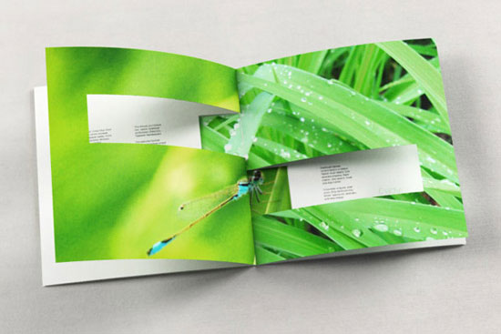 10 Beautiful Booklet Design Inspirations