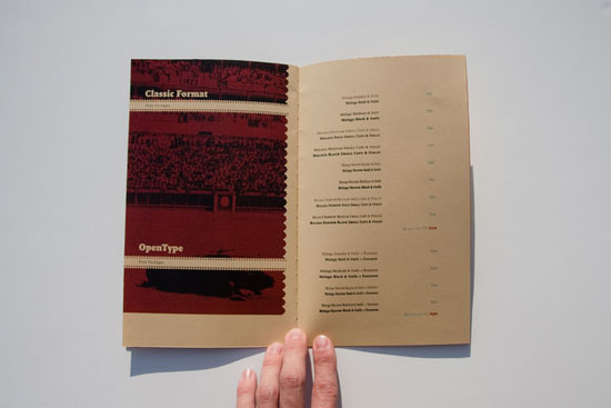 10 Beautiful Booklet Design Inspirations 8