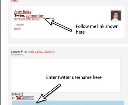 15 Most Useful Twitter Plugins for Wordpress 8