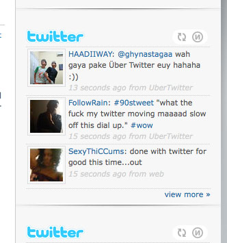 15 Most Useful Twitter Plugins for Wordpress 6