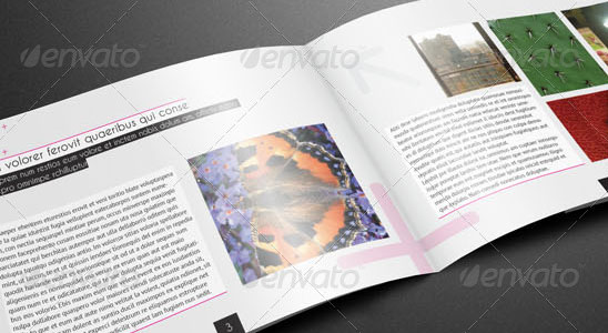 15 Most Attractive Brochure Design to Inspire You 10
