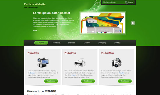 40 High Quality Free XHTML/CSS Web Template for Developers 10