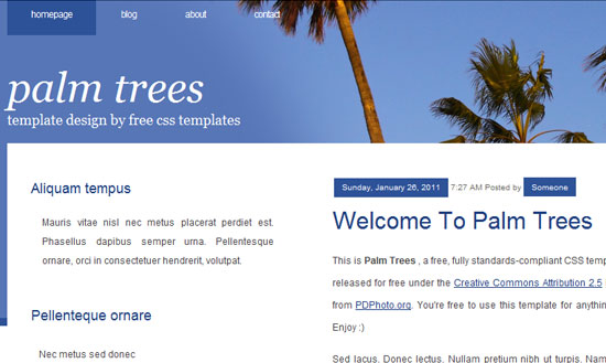 40 High Quality Free XHTML/CSS Web Template for Developers 16