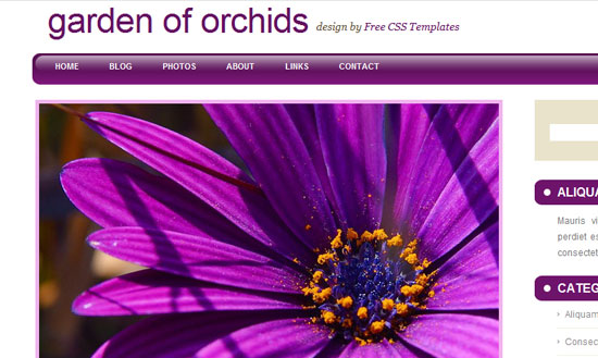 40 High Quality Free XHTML/CSS Web Template for Developers 18