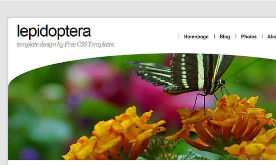 40 High Quality Free XHTML/CSS Web Template for Developers 20