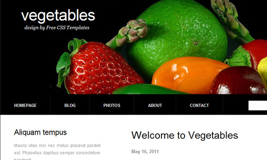 40 High Quality Free XHTML/CSS Web Template for Developers 21