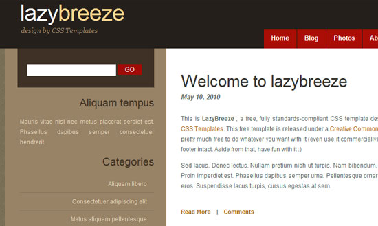 40 High Quality Free XHTML/CSS Web Template for Developers 23