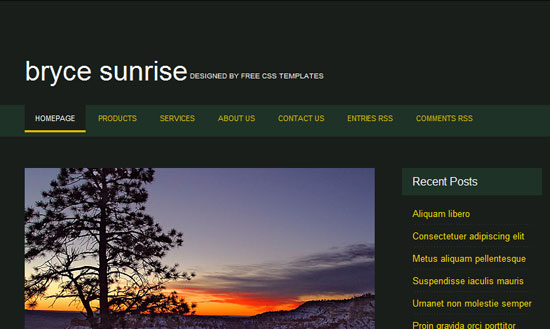 40 High Quality Free XHTML/CSS Web Template for Developers 25
