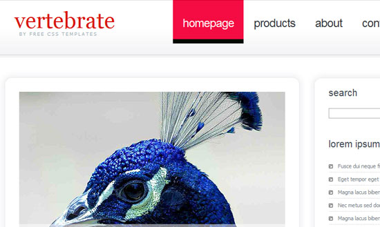 40 High Quality Free XHTML/CSS Web Template for Developers 26