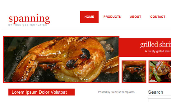 40 High Quality Free XHTML/CSS Web Template for Developers 27