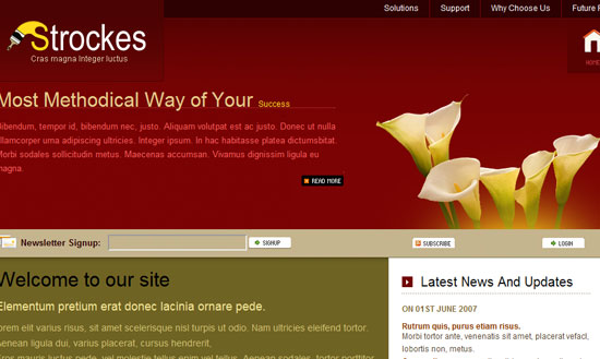 40 High Quality Free XHTML/CSS Web Template for Developers 30