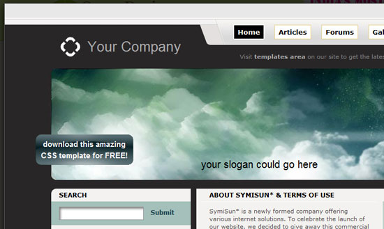 40 High Quality Free XHTML/CSS Web Template for Developers 33