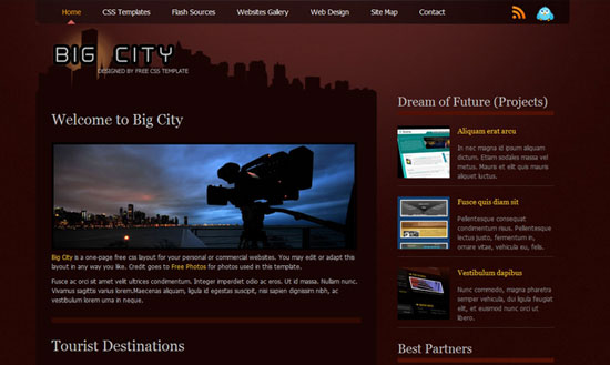 40 High Quality Free XHTML/CSS Web Template for Developers 8