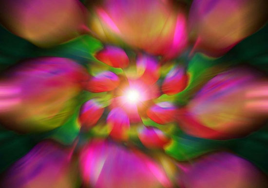 50 Amazing Fractal Art Illustrations 15