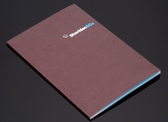 15 Most Inspiring Booklet Design 1