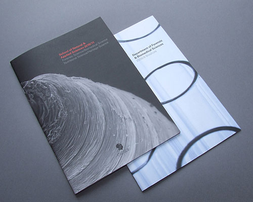 15 Most Inspiring Booklet Design 12