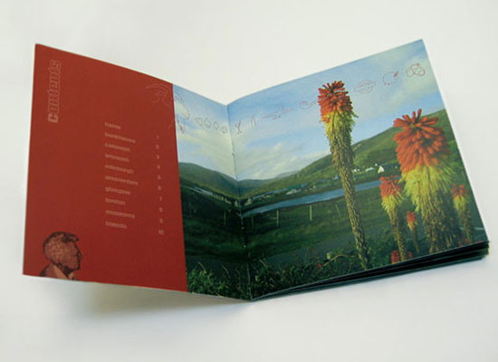 15 Most Inspiring Booklet Design 9