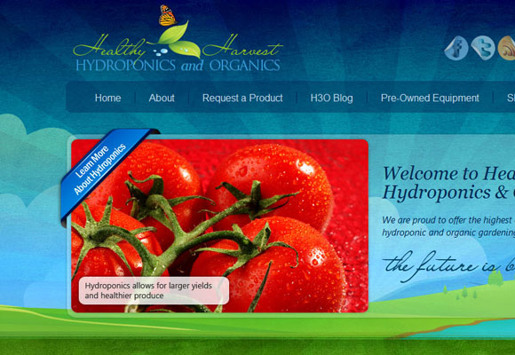 20 Beautiful Nature Inspired Websites 4