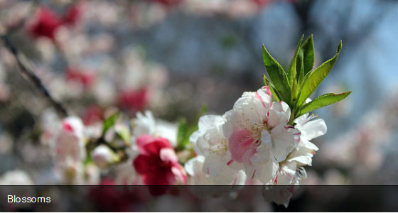 20 New Useful jQuery Plugins 13