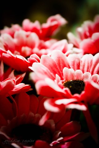 40 Wonderful Free Wallpaper for your iPhone 16