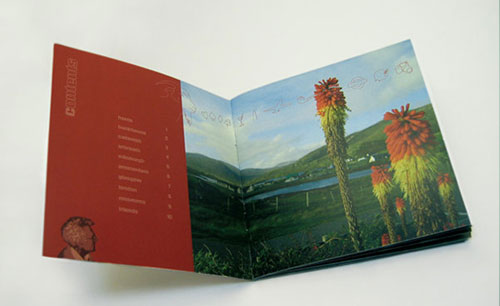 20 Beautiful Booklet Printing Design for Inspiration 15