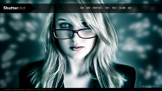 20 Awesome Free Wordpress Themes of 2011 11