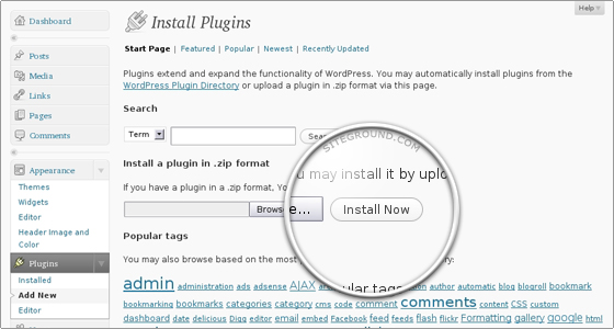 10 Important Tips to Use WordPress to Create a Blog Site 4