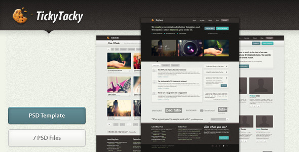 20 Delightful Premium PSD Web Templates 7