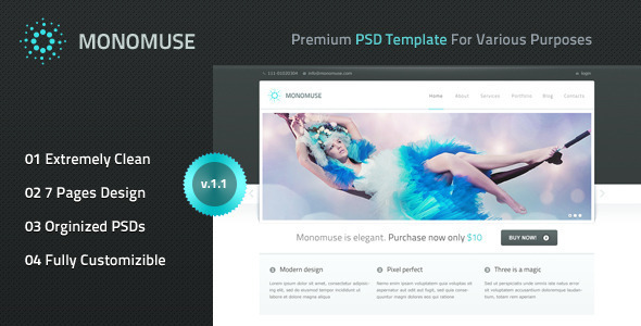 20 Delightful Premium PSD Web Templates 9
