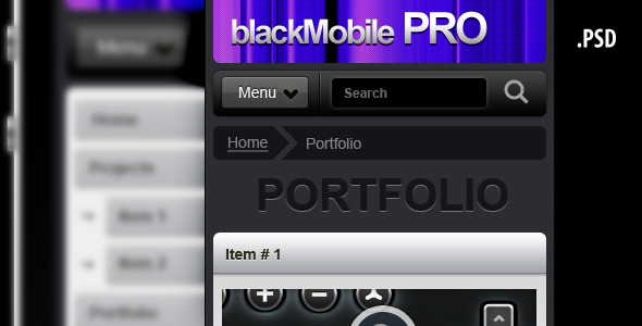 20 Delightful Premium PSD Web Templates 13