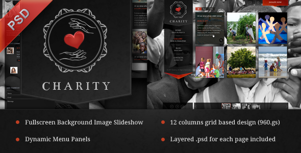 20 Delightful Premium PSD Web Templates 5