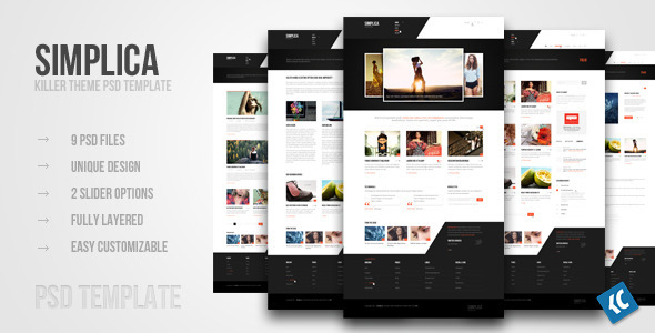 20 Delightful Premium PSD Web Templates 6
