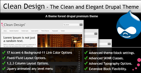 15 Awesome Premium CMS Theme 6