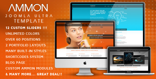 15 Awesome Premium CMS Theme 1