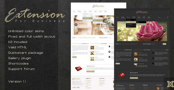 15 Awesome Premium CMS Theme 4