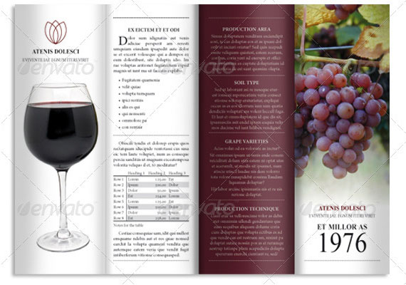 Excellent Collection of Brochure Design for Inspiration 6