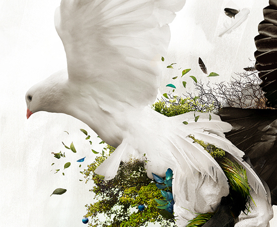 30+ Excellent Examples Of Photo Manipulation 19