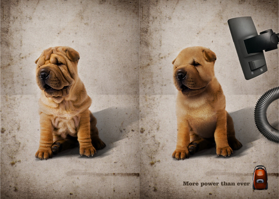 30+ Excellent Examples Of Photo Manipulation 29