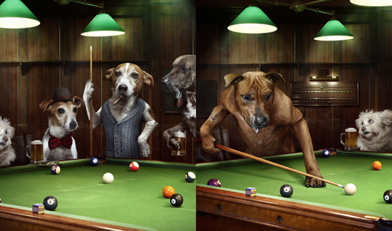 30+ Excellent Examples Of Photo Manipulation 30