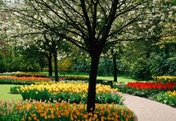 20 Mind-blowing Spring Wallpaper for Desktop 1