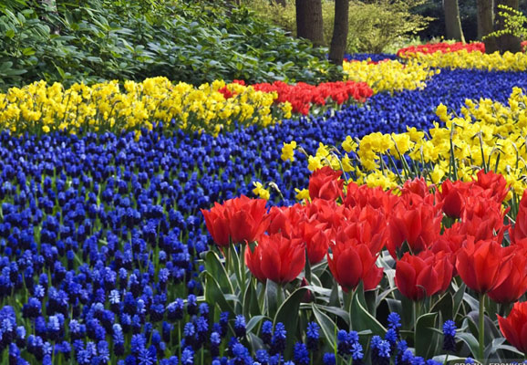 20 Mind-blowing Spring Wallpaper for Desktop 13