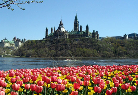 20 Mind-blowing Spring Wallpaper for Desktop 14